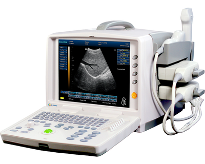 B/W Ultrasound   EC-3300