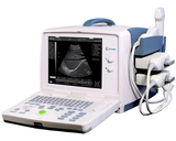 B/W Ultrasound  EC-3200